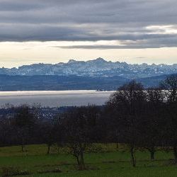 photos/Bodensee/thumbnails/DSC_0186.JPG