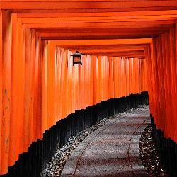 photos/Japan/thumbnails/torii.jpg