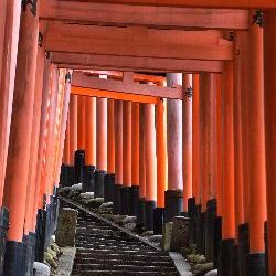 photos/Japan/thumbnails/torii4.jpg