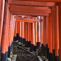 photos/Japan/thumbnails/torii4.jpg