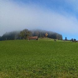 photos/Landschaft/thumbnails/20151031_121156.jpg