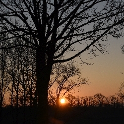 photos/Sonnenfotografie/thumbnails/Sonnenaufgang.jpg