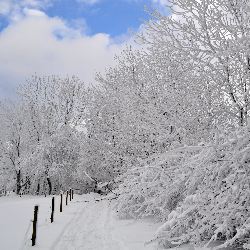 photos/Winterwonderland/thumbnails/DSC_0140.jpg