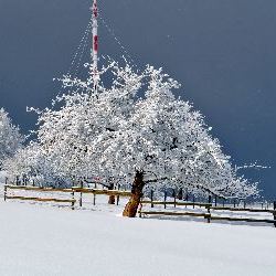 photos/Winterwonderland/thumbnails/DSC_0153.jpg